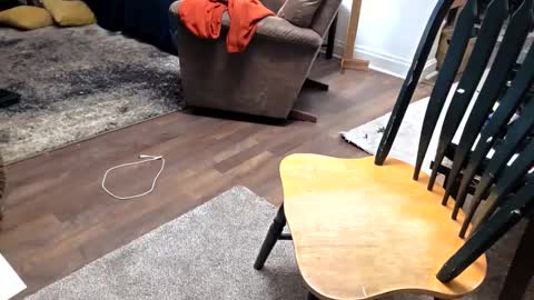 andrewo42601 online show from 01.17.26