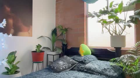 Andy online show from 02.05.26