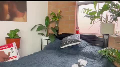 Andy online show from 03.11.26