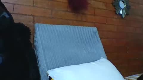  Angela  online show from 12.19.25