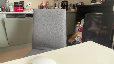 AngelHarly online show from 03.08.25