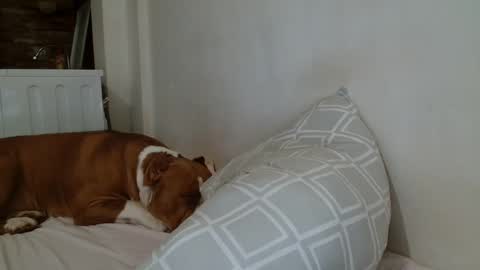 Snapshot of angelicbabexxx chatting on 02.08.25 Angela online show from 02.08.25