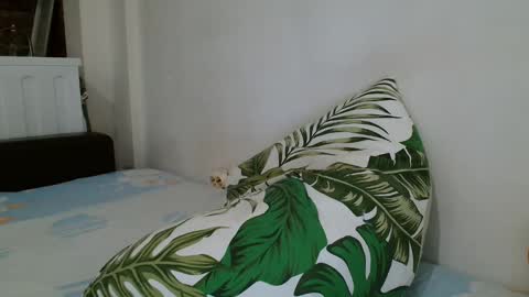 Snapshot of angelicbabexxx chatting on 02.19.25 Angela online show from 02.19.25