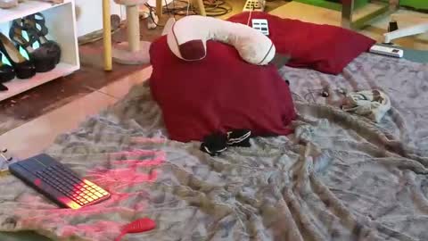 Angel online show from 03.12.25