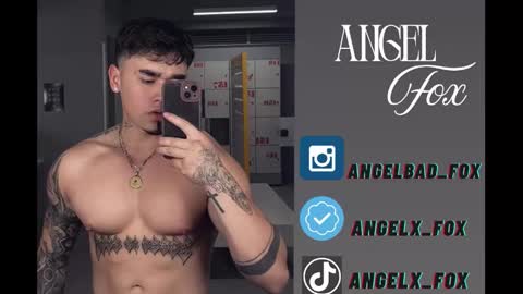 Angel Fox online show from 11.26.25