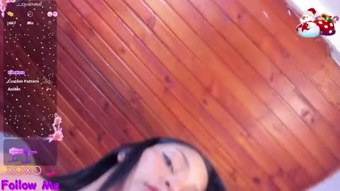 Snapshot of anggi1 chatting on 12.29.24 Anggi online show from 12.29.24