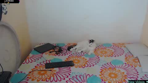 Angie y Andres online show from 01.20.25