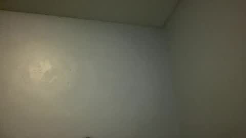 Animeboygirls online show from 11.10.25