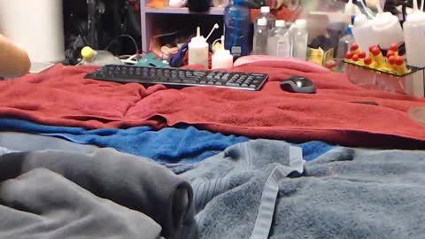 Twitter at animegamergrl. No vids for sale on Chaturbate. online show from 04.02.26