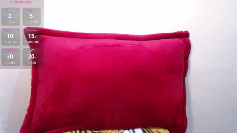 Snapshot of anneliesse chatting on 11.06.25 anneliesse online show from 11.06.25