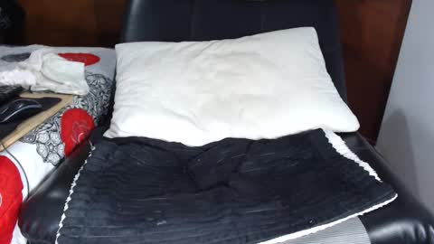 ANNE online show from 02.13.26