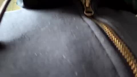 anonomousloser online show from 01.06.25