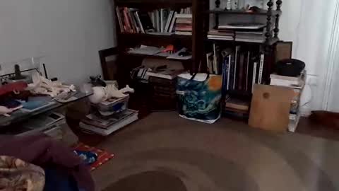 antonino85 online show from 12.24.24