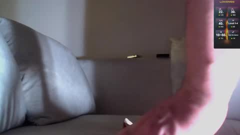 Snapshot of antonni_ chatting on 02.24.25 antonni_ online show from 02.24.25