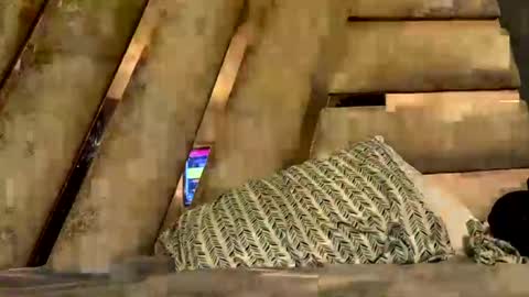 anubis_inpu online show from 11.06.25