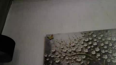 AnyBigTitts online show from 03.01.26