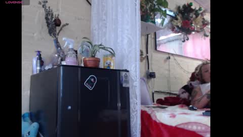 any simsom online show from 03.01.26