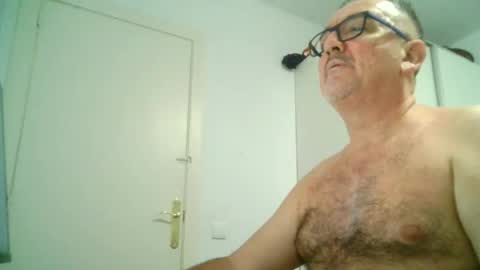 furry bear online show from 09.08.25