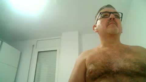 furry bear online show from 09.16.25