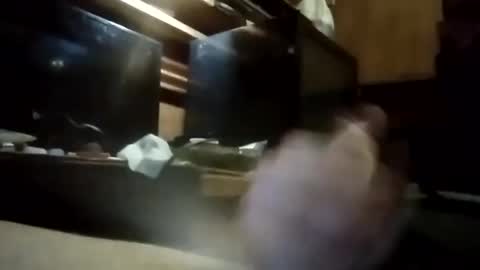 apocolypseanomaly online show from 01.03.25