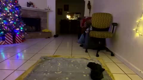 Snapshot of aprilanna chatting on 12.25.24 AnnaApril420 online show from 12.25.24