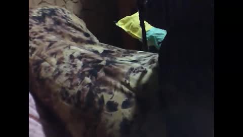 ara bellah online show from 03.21.26