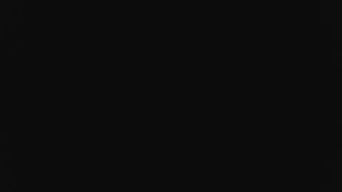 Snapshot of ares_xxxx chatting on 01.28.25 ARES online show from 01.28.25