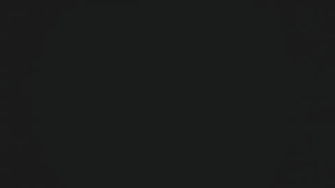 Snapshot of ares_xxxx chatting on 01.31.25 ARES online show from 01.31.25