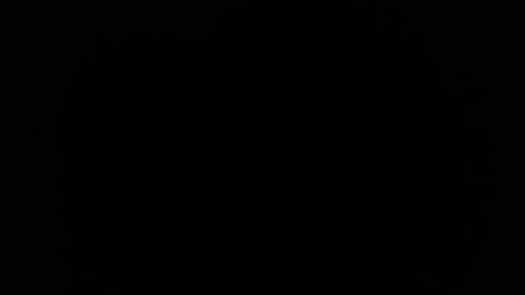 Snapshot of ares_xxxx chatting on 01.31.25 ARES online show from 01.31.25