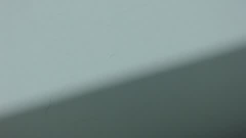 Snapshot of ariadna_6 chatting on 10.20.25 ...Ariana... online show from 10.20.25