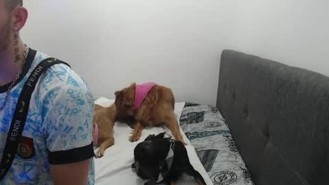 Snapshot of ariana_esteban07 chatting on 02.06.26 ariana_esteban07 online show from 02.06.26