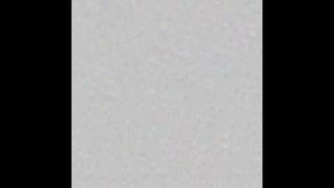 Arianna Collins online show from 10.12.25