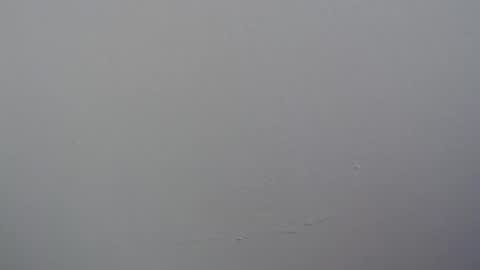 ariannaloovel online show from 04.11.26