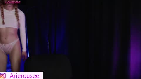 Snapshot of arie_rousee_sub chatting on 11.11.25 ARIE online show from 11.11.25