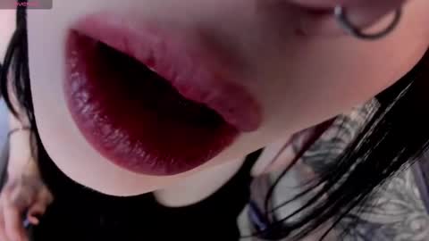 Snapshot of arielabradberry chatting on 02.28.25 Ariel online show from 02.28.25