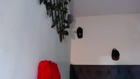 chris online show from 01.29.25