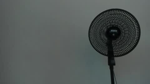 Ariel  online show from 12.12.24