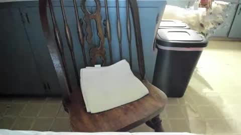 armalite16 online show from 11.13.25