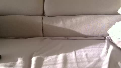 Snapshot of arpinopeer3055 chatting on 11.05.25 arpinopeer3055 online show from 11.05.25