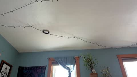 Artie Paints online show from 01.03.25