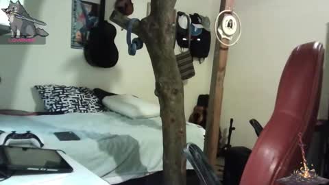 artorias 4 online show from 01.28.25