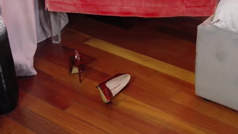 Aryana online show from 09.29.25