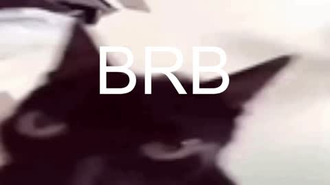 Snapshot of asheluck chatting on 01.17.25 AshleyAshe online show from 01.17.25