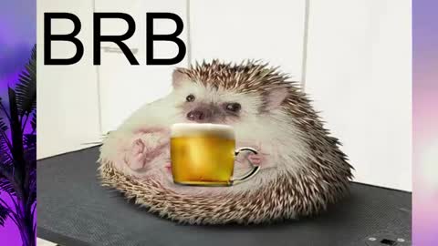 Snapshot of asheluck chatting on 02.16.25 AshleyAshe online show from 02.16.25