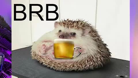 Snapshot of asheluck chatting on 02.16.25 AshleyAshe online show from 02.16.25