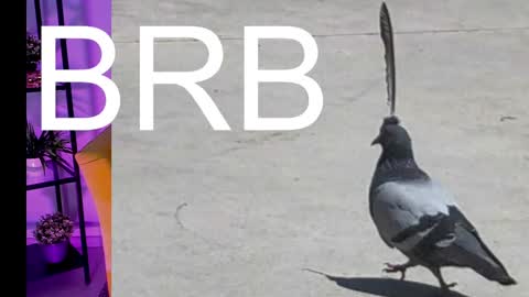 Snapshot of asheluck chatting on 03.07.25 AshleyAshe online show from 03.07.25