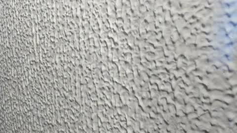 Carolina  online show from 12.16.24