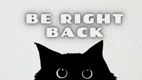 ashley_js online show from 03.06.26