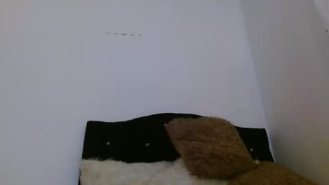 ASHLEY online show from 04.05.26