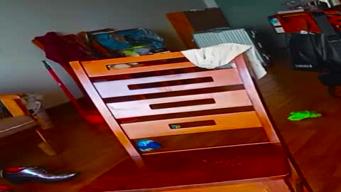 Asian chub Wayne online show from 03.02.25